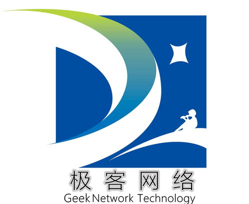 福建極客網絡科技 技術驅動創新，數字賦能未來